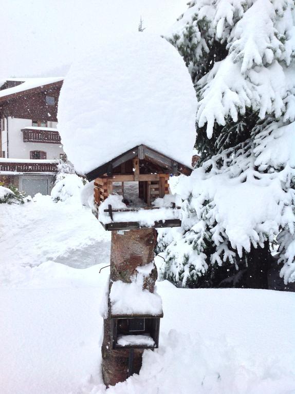Apartmán Haus Amann Berwang Exteriér fotografie