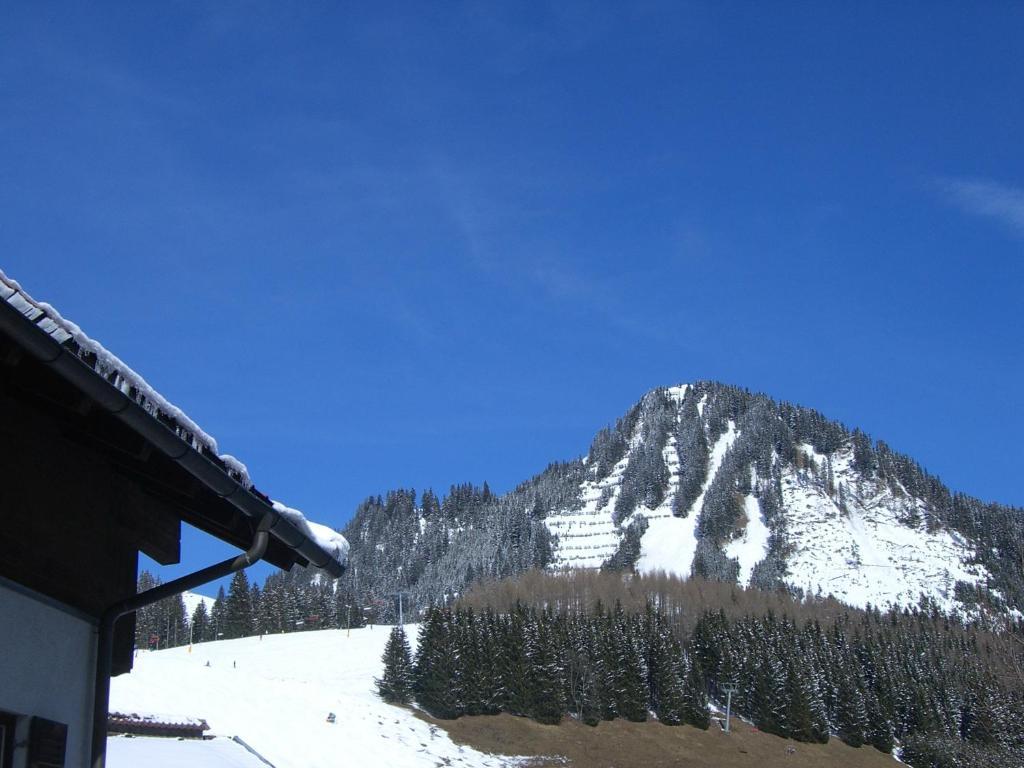 Apartmán Haus Amann Berwang Exteriér fotografie